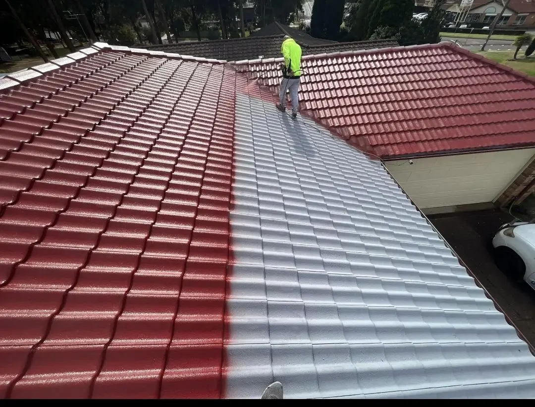Professional roof painting in progress